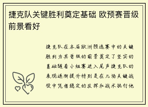 捷克队关键胜利奠定基础 欧预赛晋级前景看好